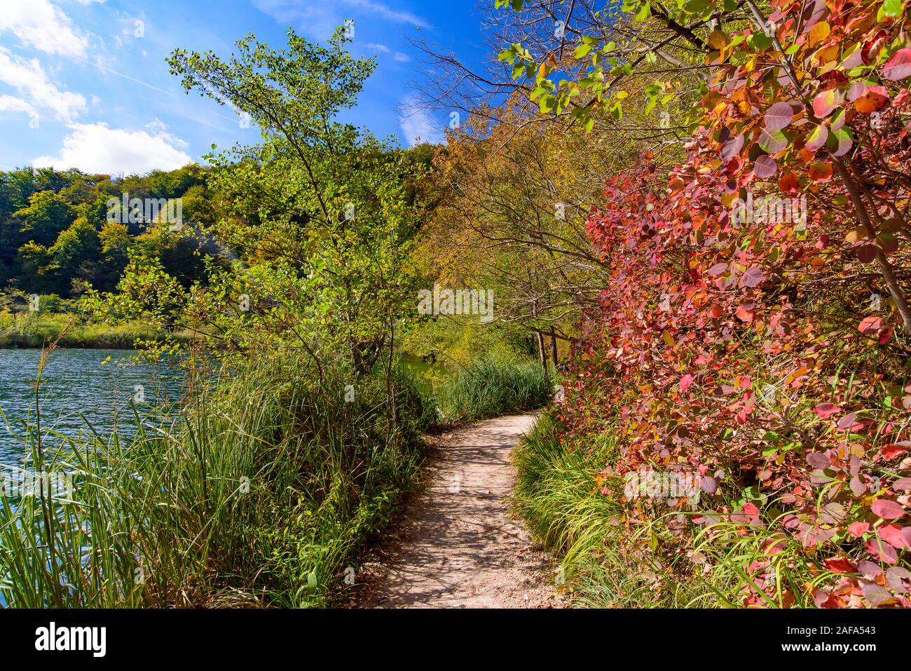 Percorso di Trekking al Parco Nazionale dei Laghi di Plitvice (Plitvička jezera), un parco nazionale in Croazia Foto Stock