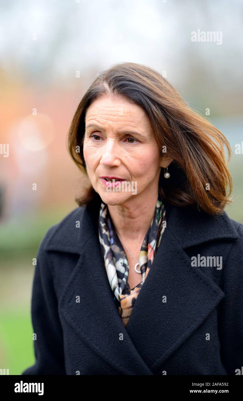 Carolyn Fairbairn - direttore generale della Confederazione dell'industria britannica, Westminster, 2019 Foto Stock