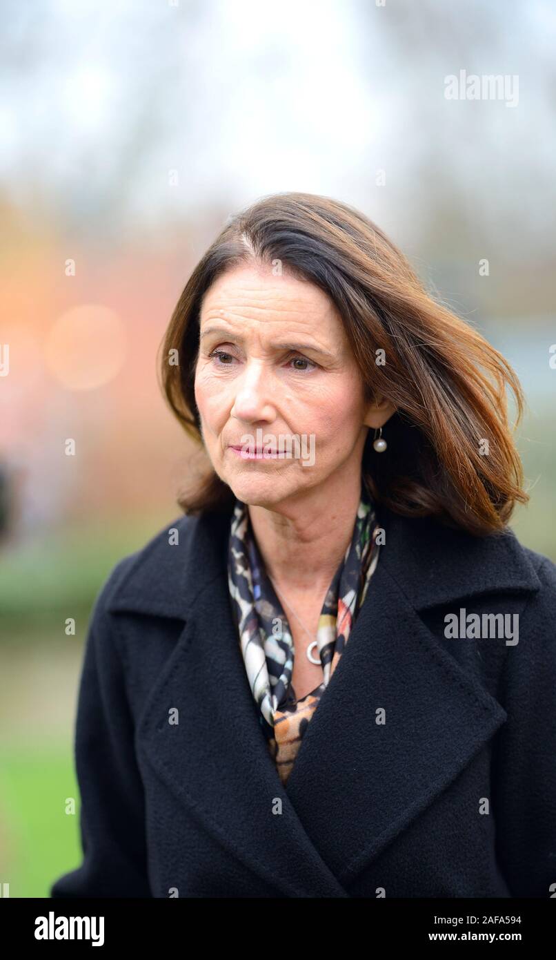 Carolyn Fairbairn - direttore generale della Confederazione dell'industria britannica, Westminster 2019 Foto Stock