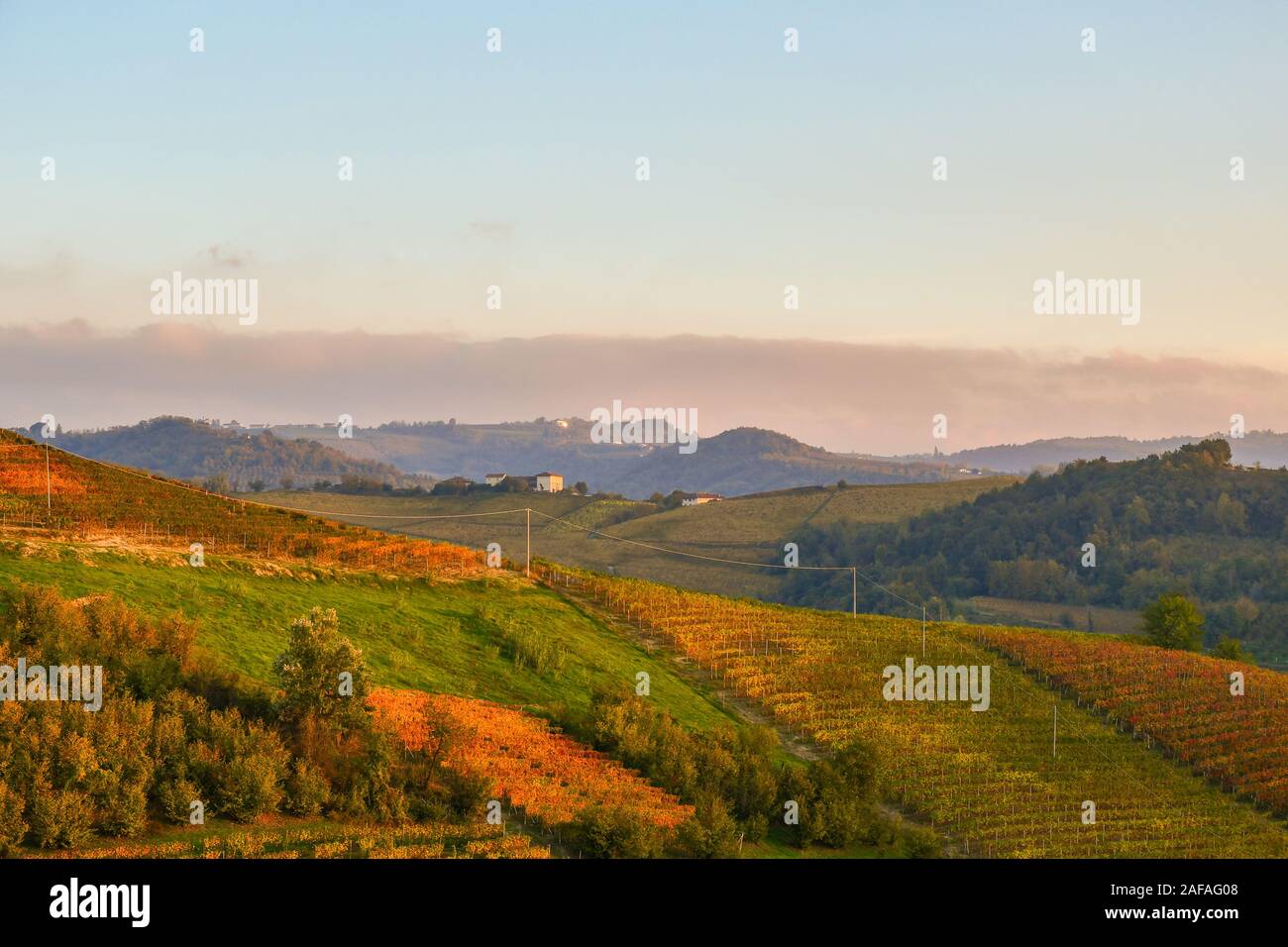 Elevata, vista panoramica delle Langhe vigna colline al tramonto in autunno, Sito Patrimonio Mondiale dell'Unesco, Alba, in provincia di Cuneo, Piemonte, Italia Foto Stock