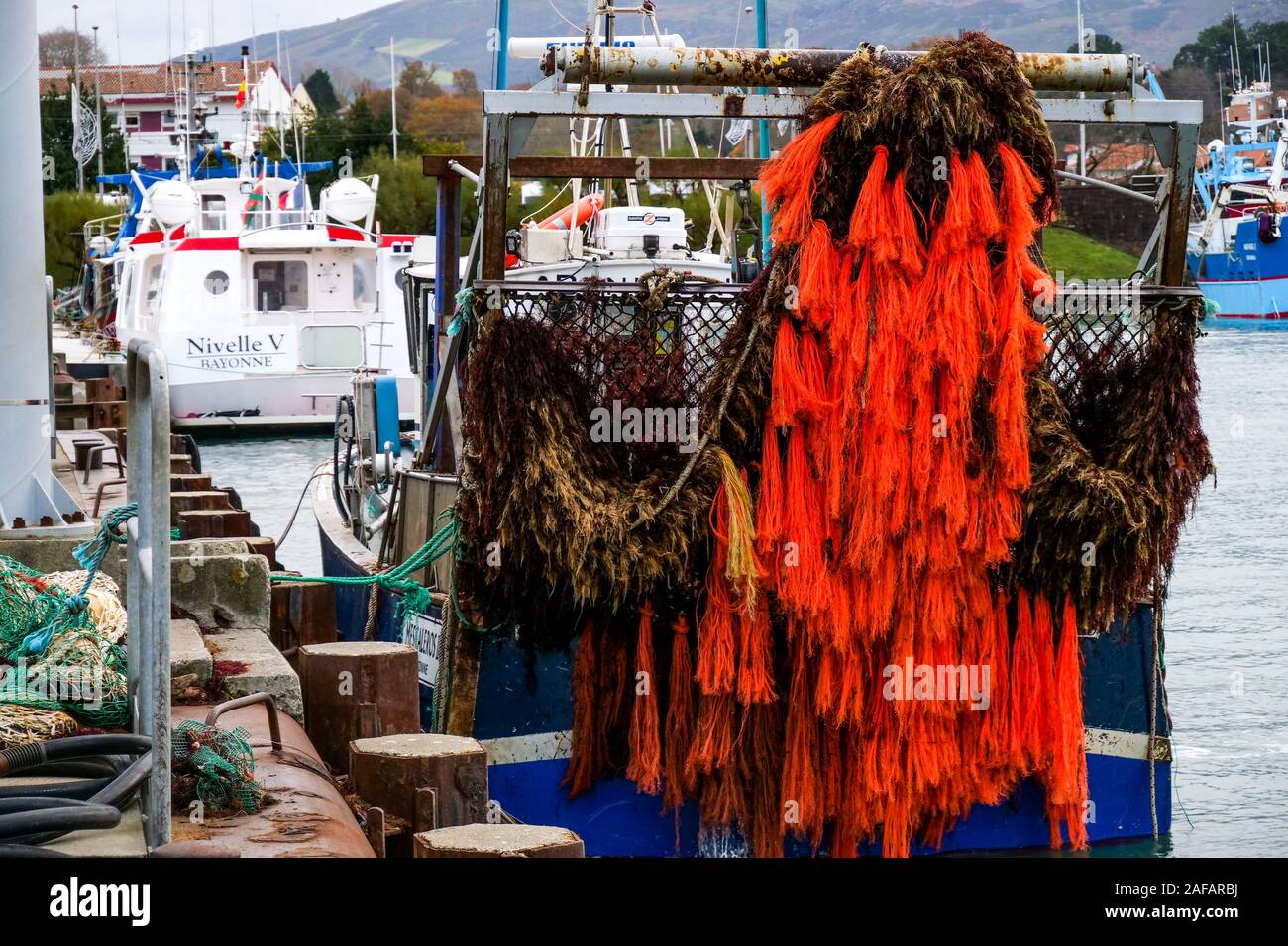 Lo scarico di alghe rosse, porto di pescatori di Saint Jean de Luz, Pyrénées-Atlantiques, Francia Foto Stock