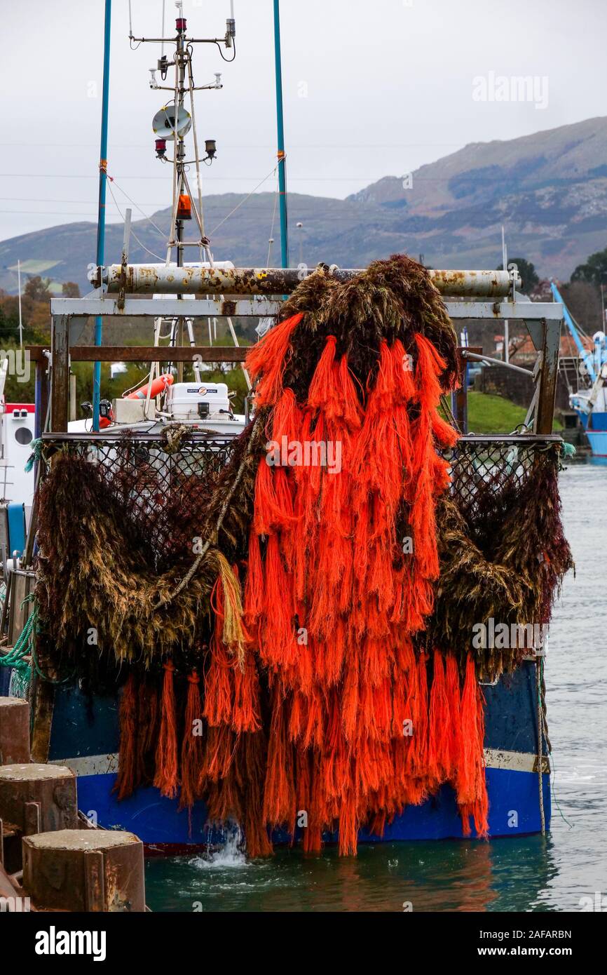 Lo scarico di alghe rosse, porto di pescatori di Saint Jean de Luz, Pyrénées-Atlantiques, Francia Foto Stock