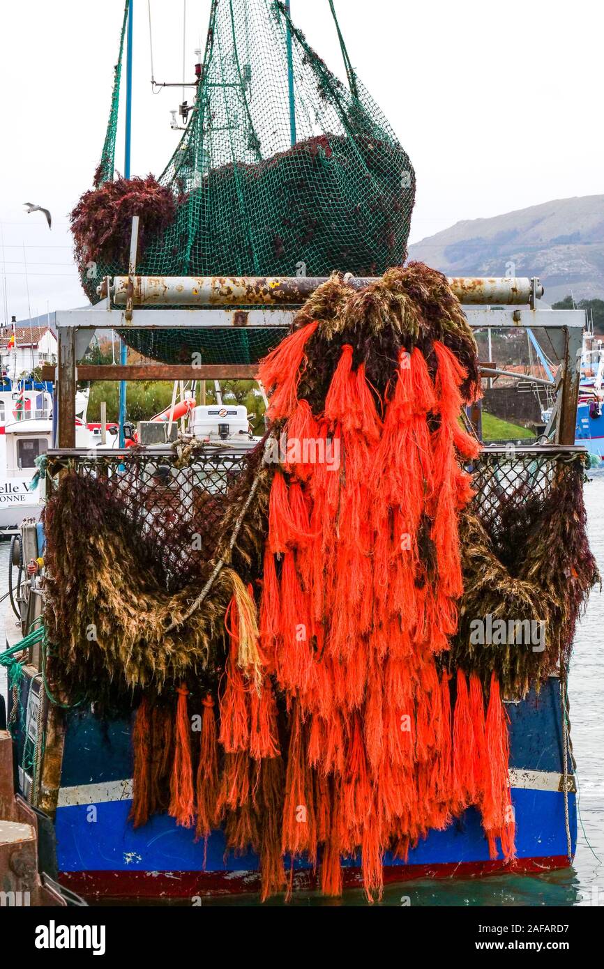 Lo scarico di alghe rosse, porto di pescatori di Saint Jean de Luz, Pyrénées-Atlantiques, Francia Foto Stock
