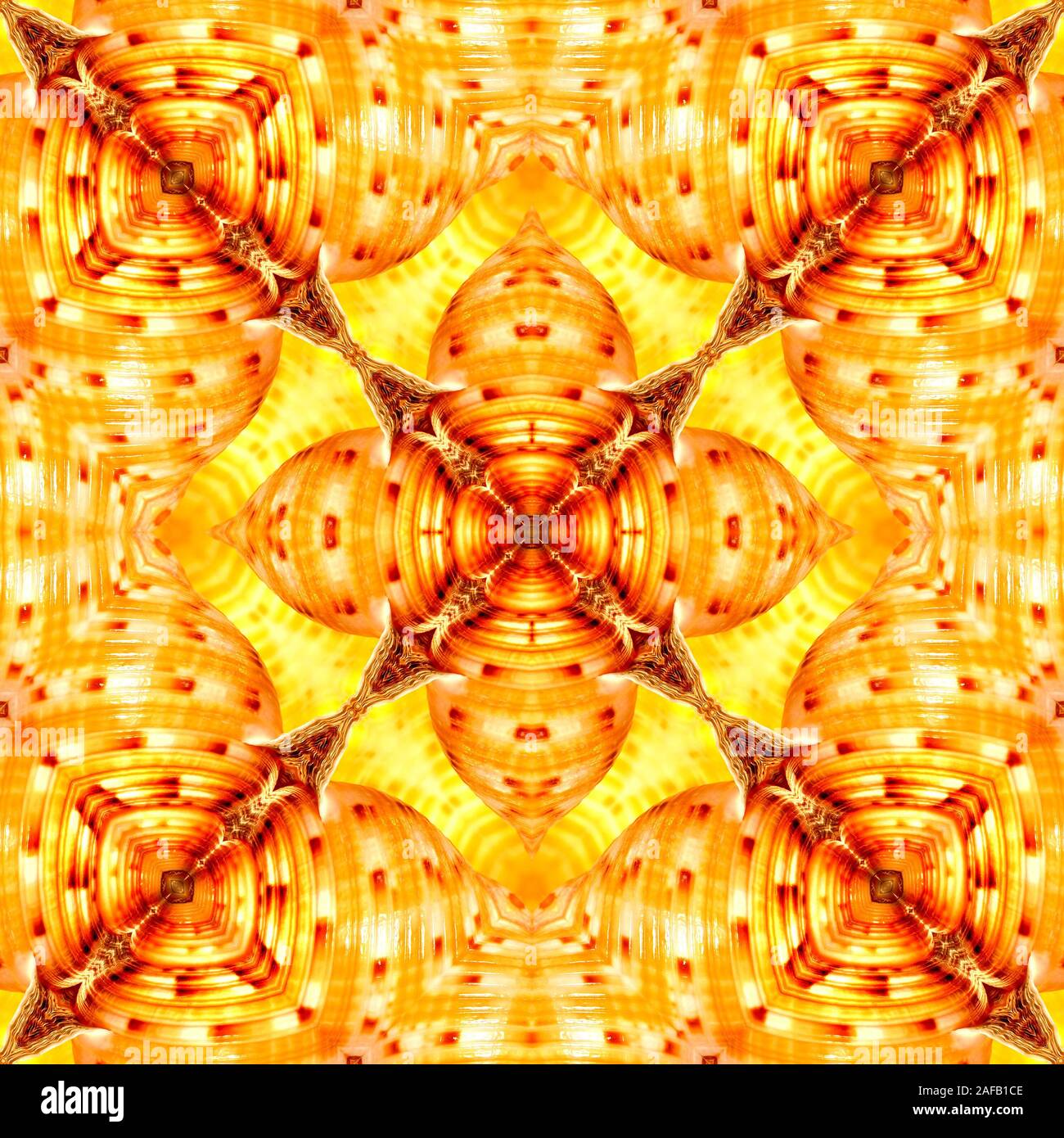 Riflesso simmetrico pattern creato da una foto originale di un cinese Tun (shell Tonna chinensis) Foto Stock