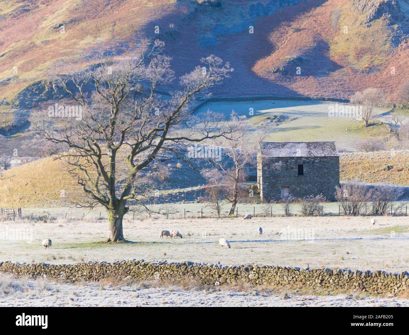Un vecchio fienile e trasformata per forte gradiente gelo su una giornata invernale e in St Johns in the Vale, nel distretto del lago, Cumbria, Inghilterra. Foto Stock