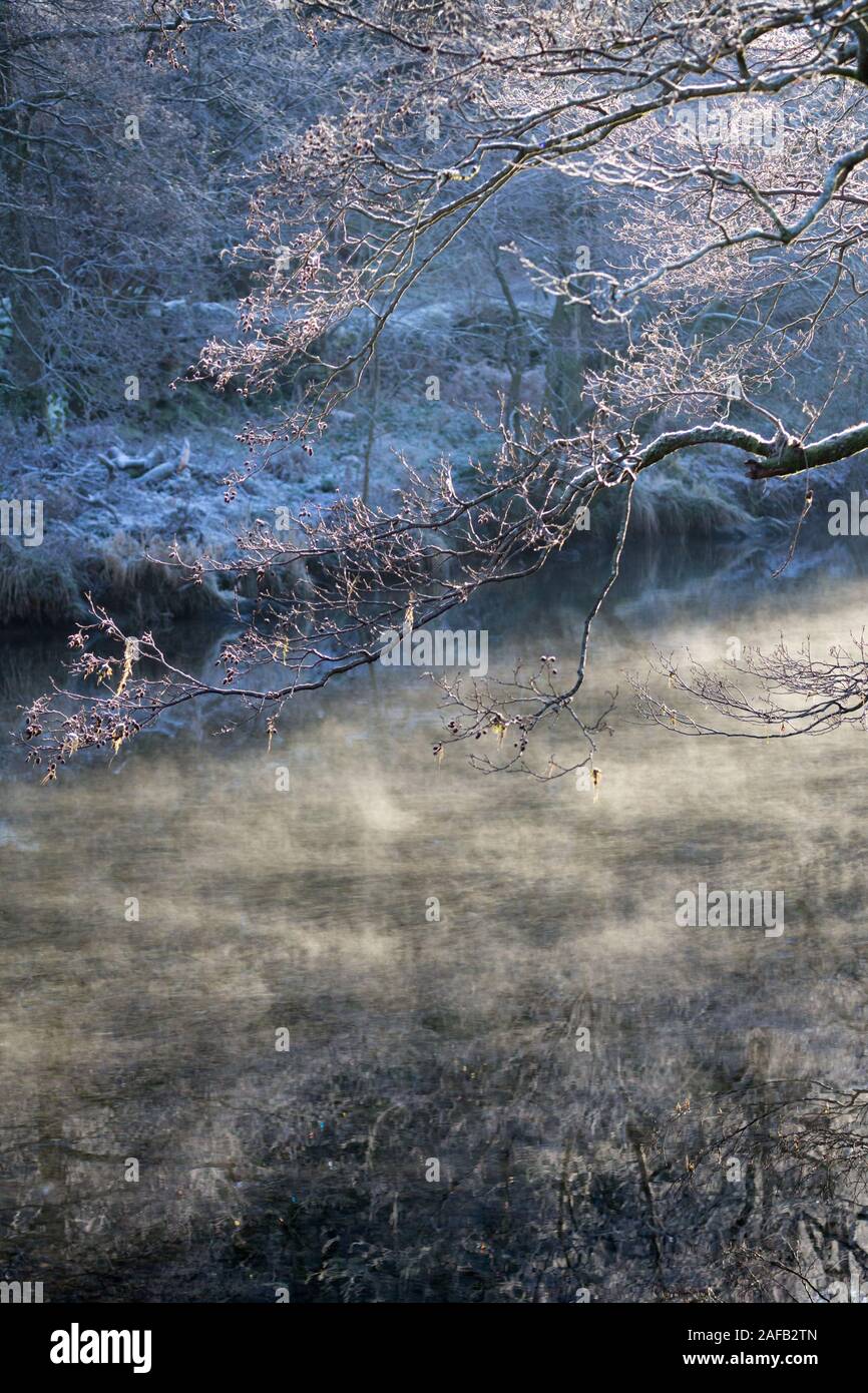 La nebbia che sorge sul fiume Derwent con trasformata per forte gradiente la brina su alberi su una giornata invernale e nel distretto del lago, Cumbria, Inghilterra. Foto Stock