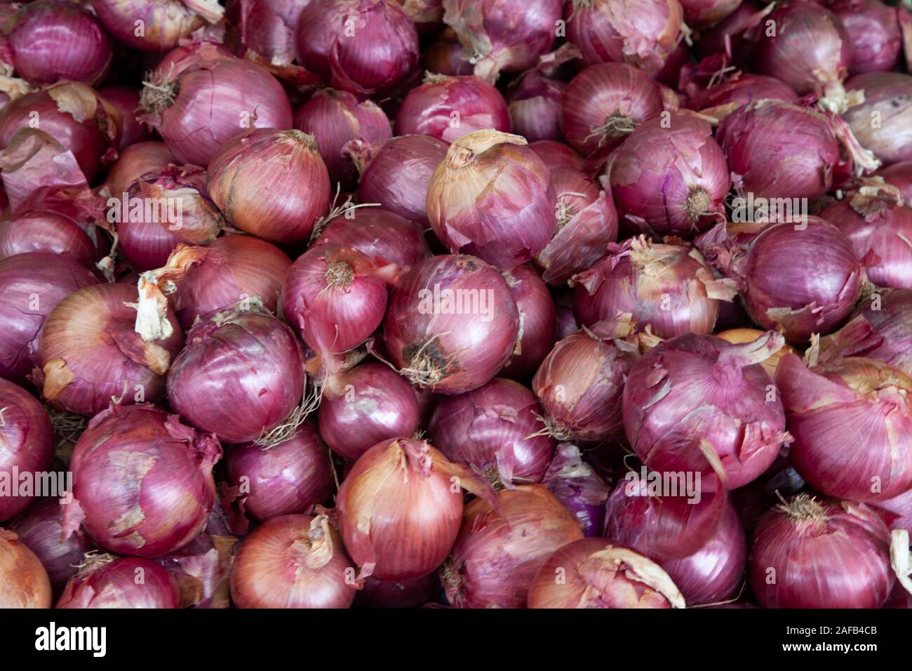 Un mucchio di cipolle rosse in vendita su un mercato degli agricoltori. Foto Stock