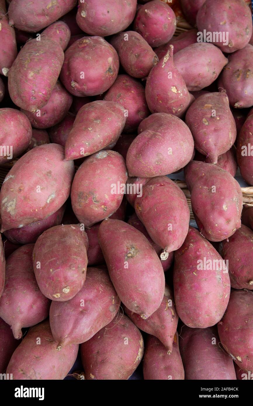 Un mucchio di patate dolci per la vendita in un mercato degli agricoltori. Foto Stock