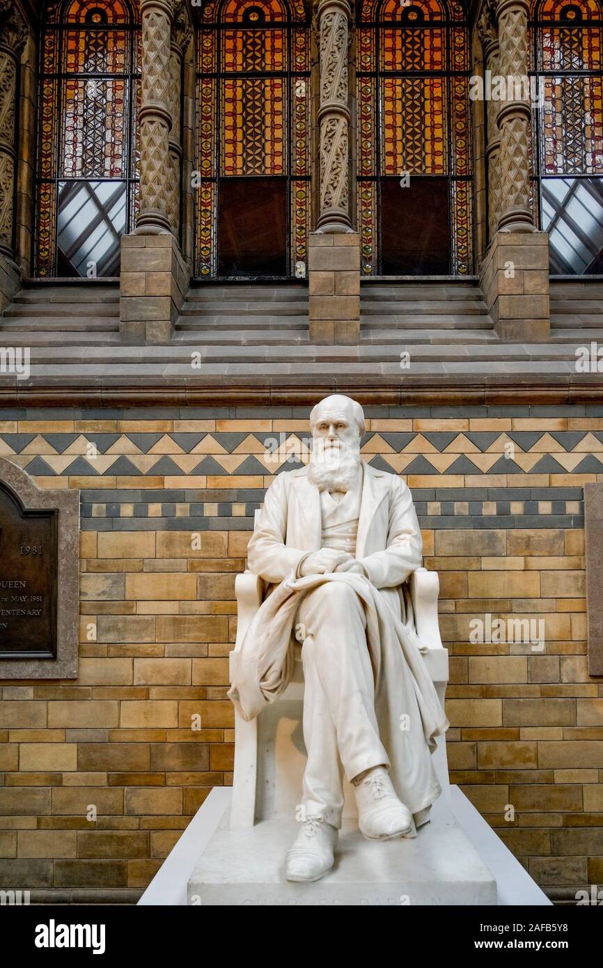 Sir Charles Darwin, scultura, Museo di Storia Naturale di Londra, Inghilterra, Regno Unito Foto Stock