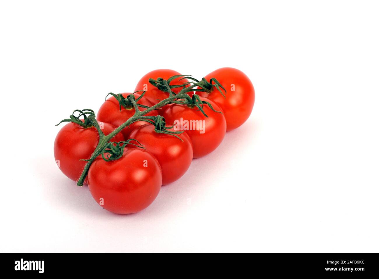 Frische Rispentomaten - Solanum Foto Stock