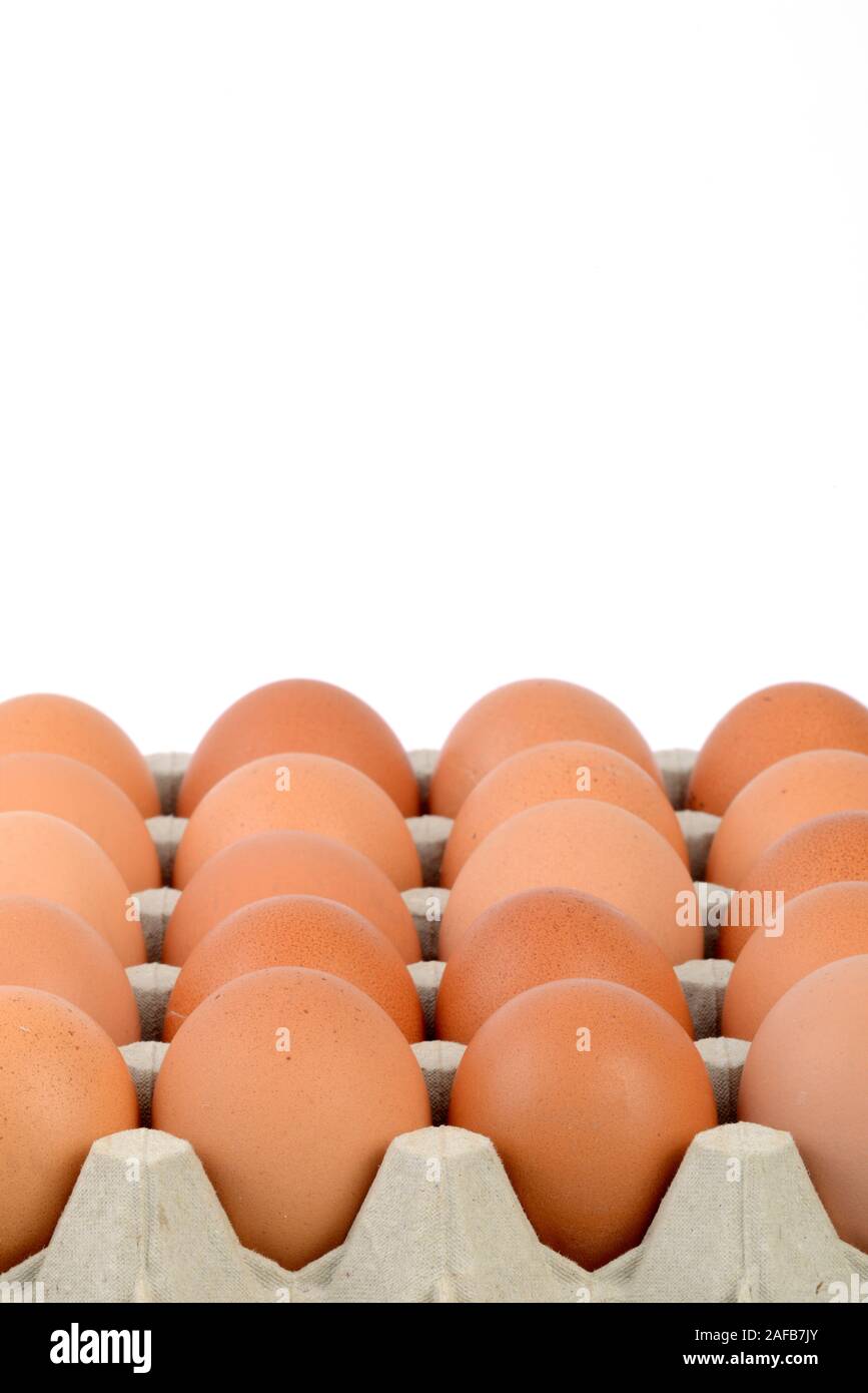 Braune Huehnereier in einer tavolozza Foto Stock