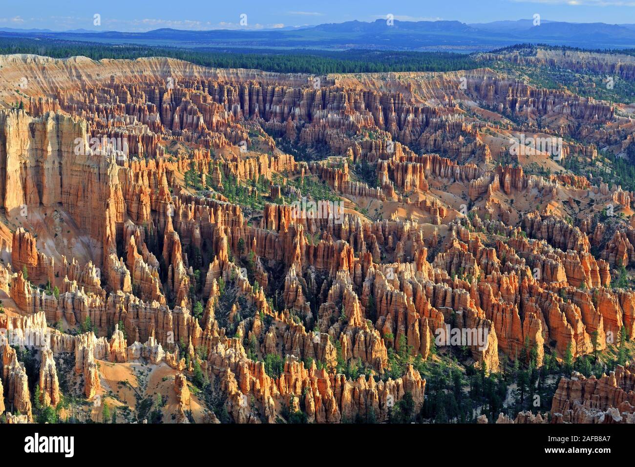 Felsformationen und Hoodoos, Bryce Canyon Bei Sonnenaufgang, Bryce Point, Utah, Suedwesten, STATI UNITI D'AMERICA Foto Stock