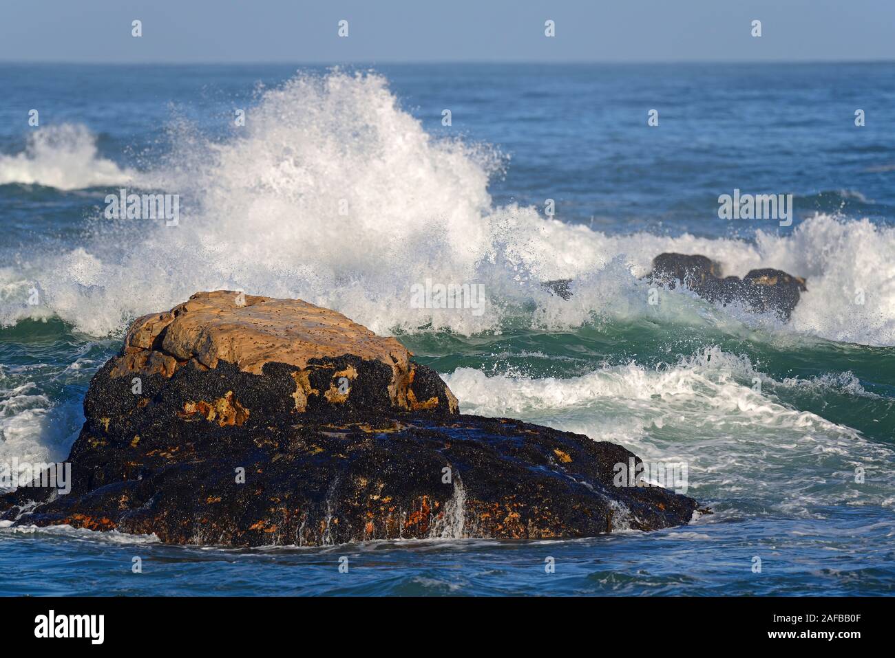 Vedere stuermische an den Felsen von Bird Island, Lamberts Bay, Western Cape, Westkap, Suedafrika, Afrika Foto Stock