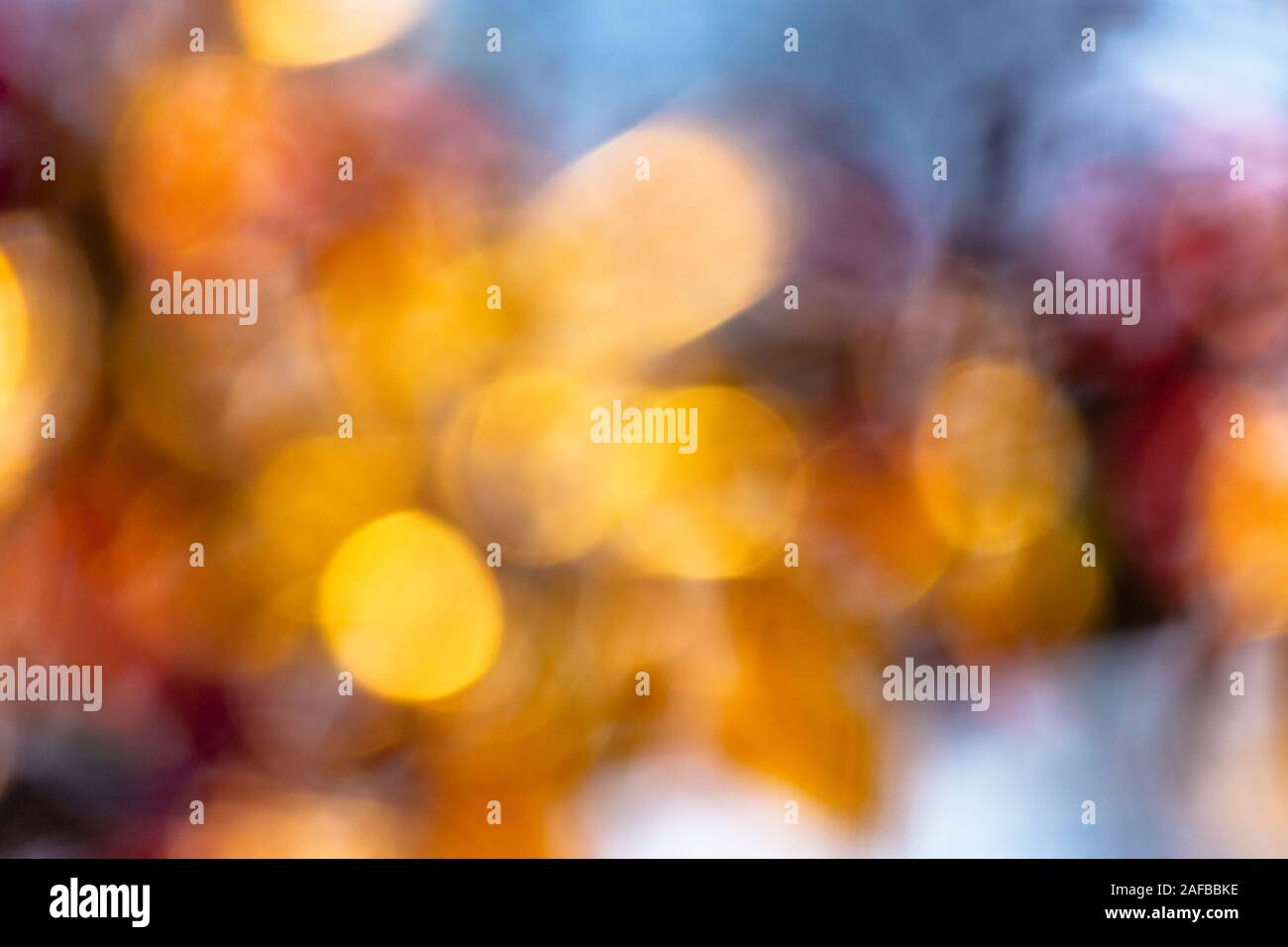 Natura astratta blur. bokeh di fiori e fogliame in primavera. luminoso sfondo retroilluminato Foto Stock