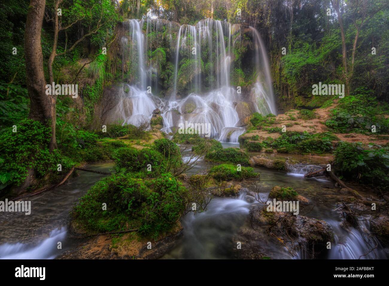 El Nicho cascate, Cienfuegos, Cuba, America del Nord Foto Stock