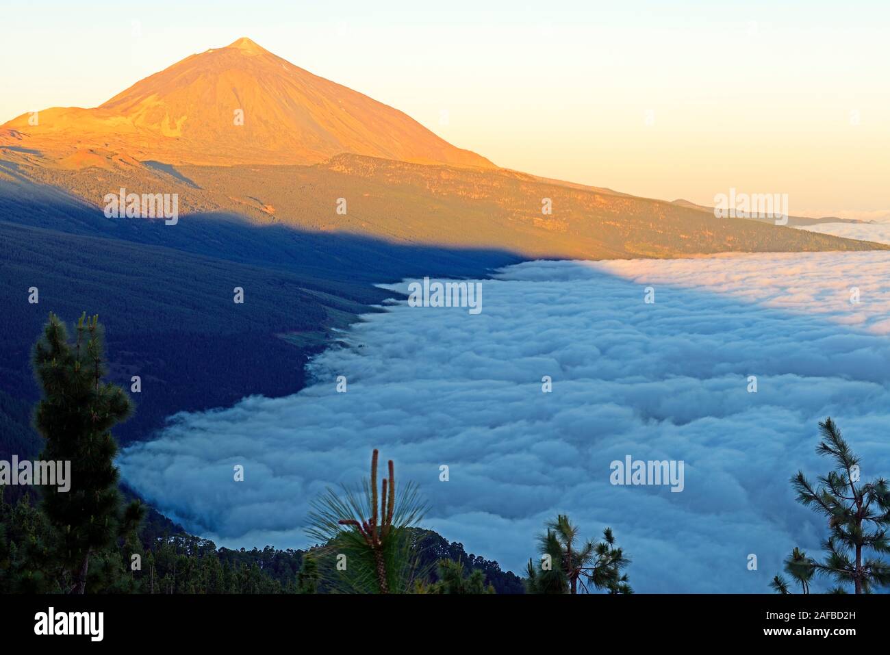 Sonnenaufgang am Pico del Teide über Passatwolken, Nationalpark Teide, Aussichtspunkt Chipeque, Teneriffa, Kanarische isole, Spanien Foto Stock