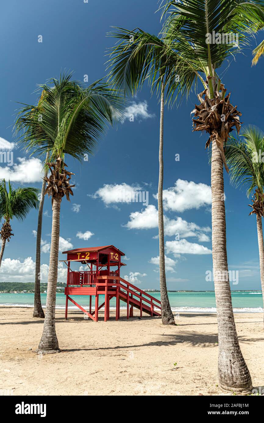 Casa bagnino e palme, Luquillo Beach, Luquillo, Puerto Rico Foto Stock