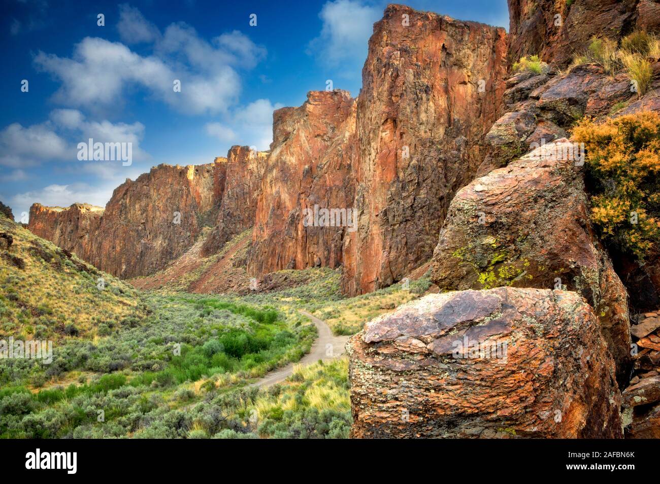 La strada attraverso High Rock Canyon. Black Rock Desert National Conservation Area. Nevada Foto Stock