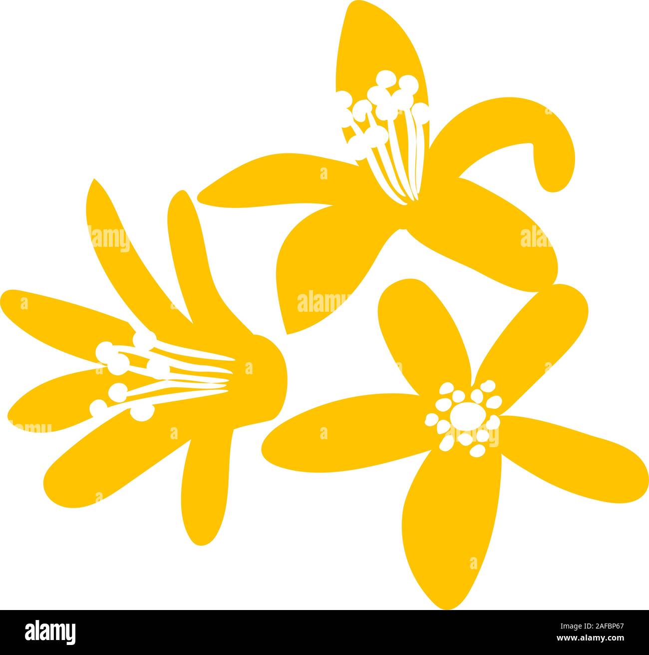 Neroli, ramoscello, fiori e arancio amaro. La natura. Vettore. Design per olio essenziale, cosmetici naturali, Illustrazione Vettoriale
