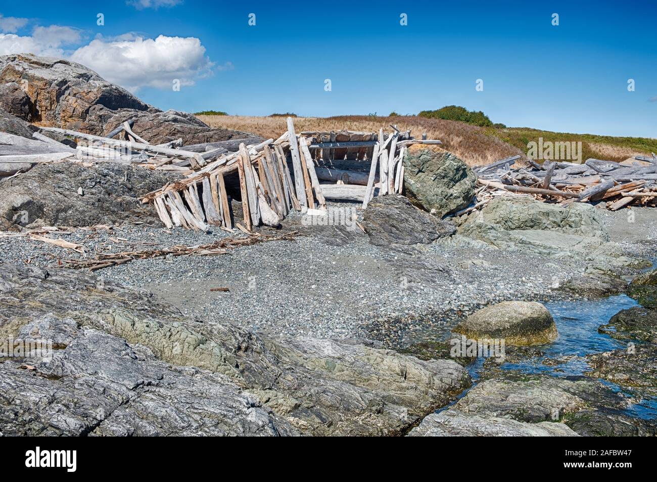 Pezzi di driftwood sono state tirate fino ad appoggiarsi contro la roccia per formare grandi rifugio sulla spiaggia nelle vicinanze del American Camp su San Juan Island. Foto Stock