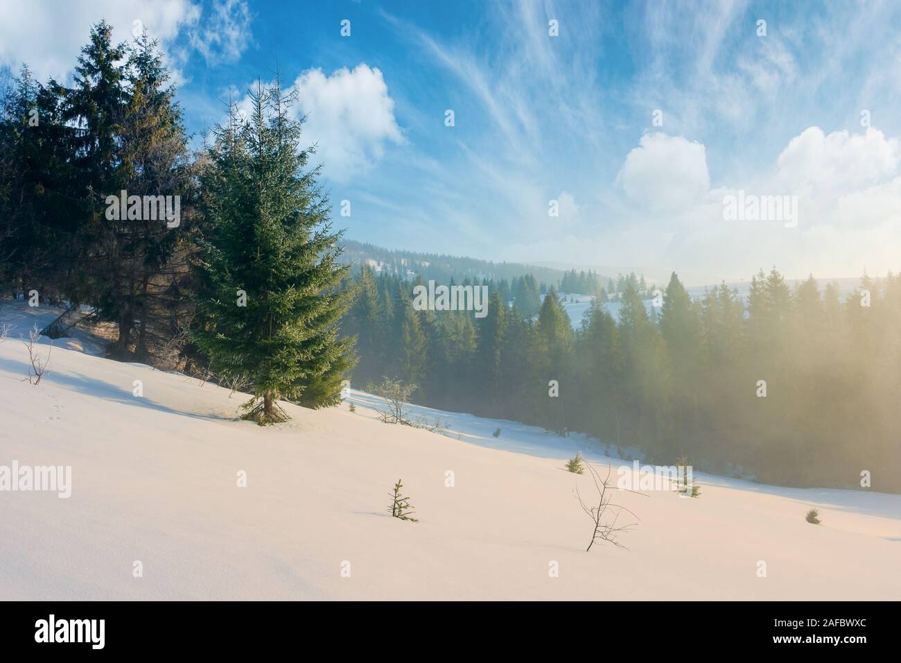 Favola invernale paesaggio in montagna. bellissimo paesaggio naturale con la foresta di conifere nella nebbia e alcuni abeti sulla coperta di neve pendenza. wond Foto Stock
