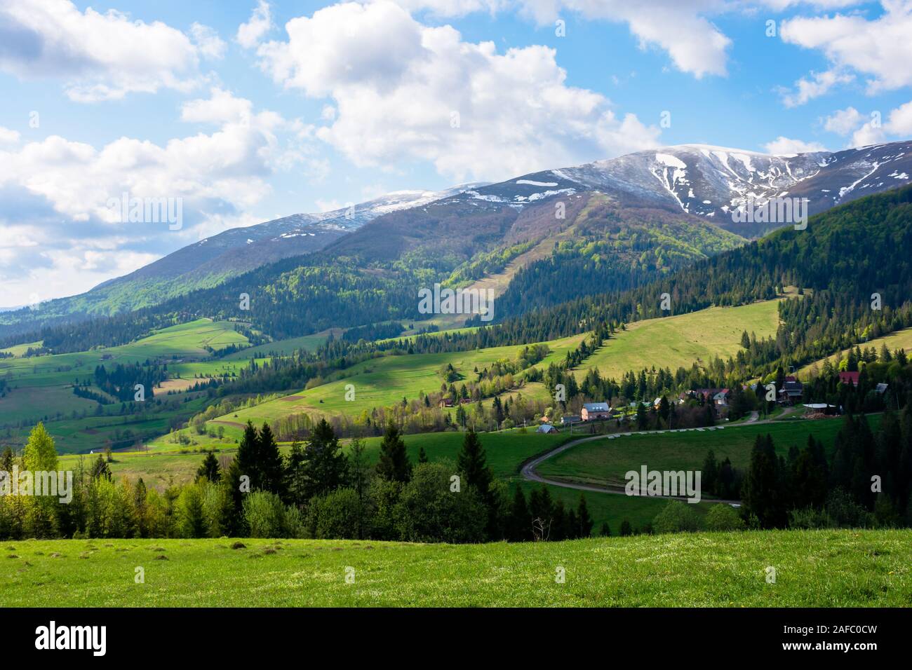 Campagna montuosa paesaggio in primavera prato erboso sulla cima di una collina. montagna cresta con Snow capped tops in distanza. tempo soleggiato con Foto Stock