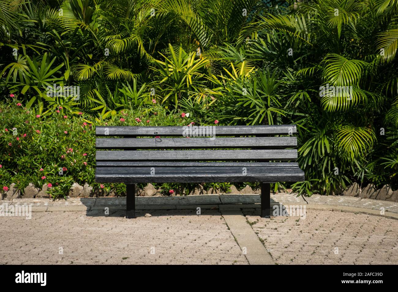 Banco di vuoto nel parco - panca in legno nel giardino tropicale Foto Stock