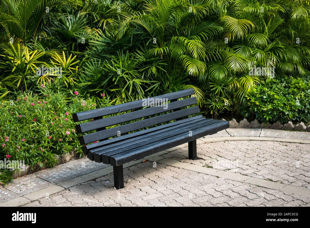 Banco di vuoto nel parco - panca in legno nel giardino tropicale Foto Stock