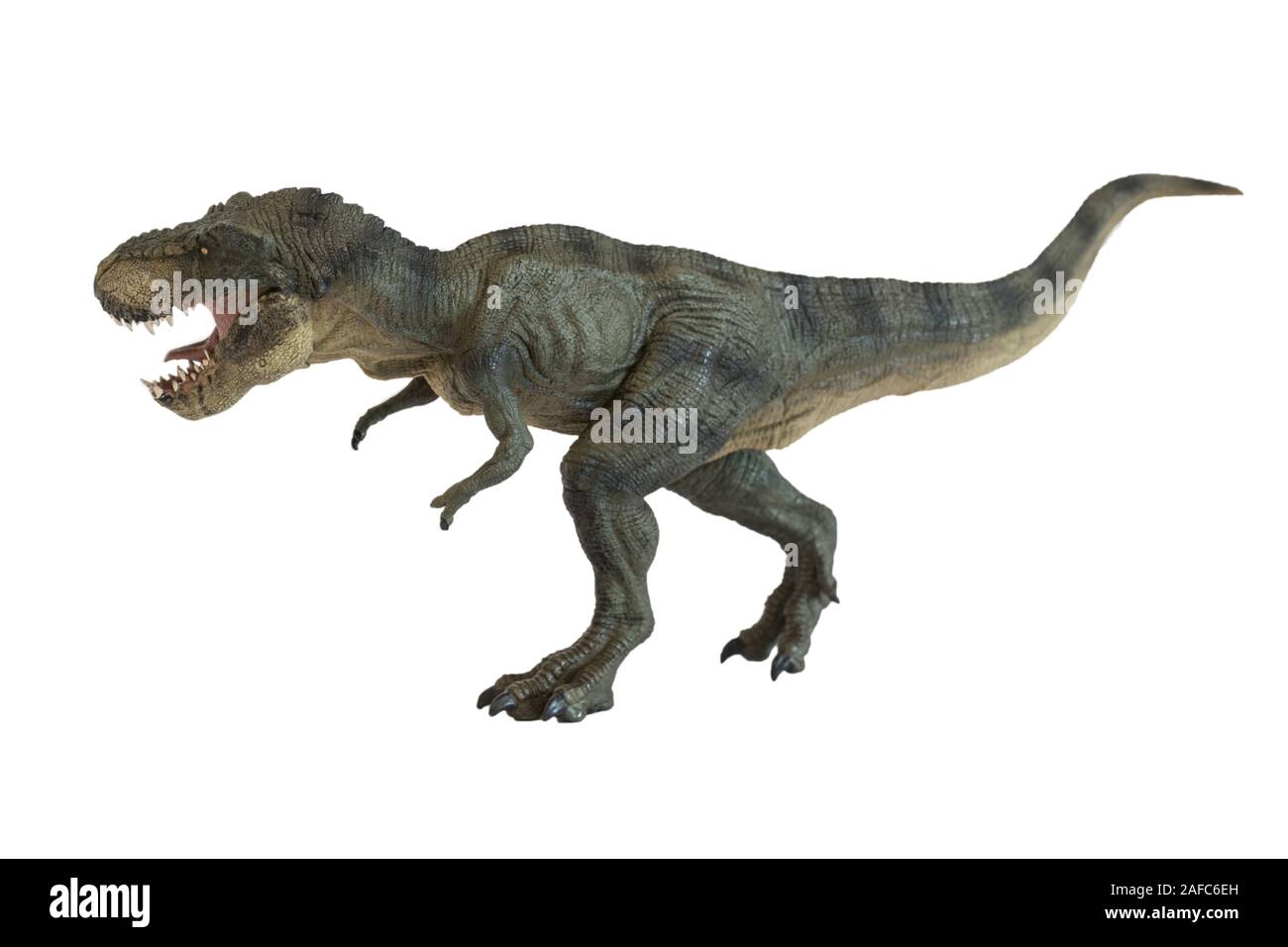 Ritratto di un camminare Tyrannosaurus rex con bocca aperta isolata su sfondo bianco Foto Stock