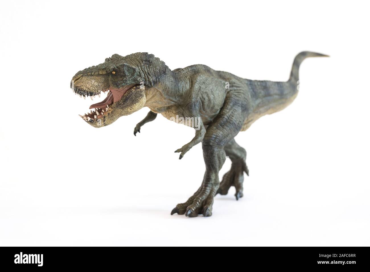 Ritratto di un camminare Tyrannosaurus rex con bocca aperta isolata su sfondo bianco Foto Stock