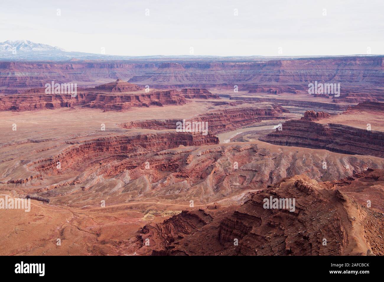 Dead Horse Point si affacciano Foto Stock