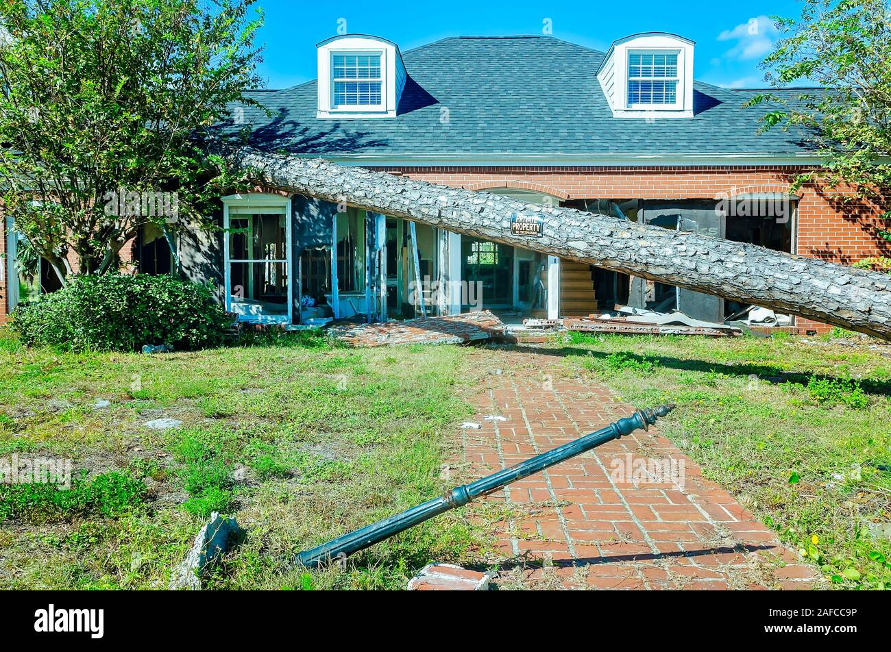 Un caduto pino stabilisce attraverso il tetto di una casa danneggiata dall uragano Michael in 2018, Sett. 22, 2019, in Port St. Joe, Florida. Foto Stock
