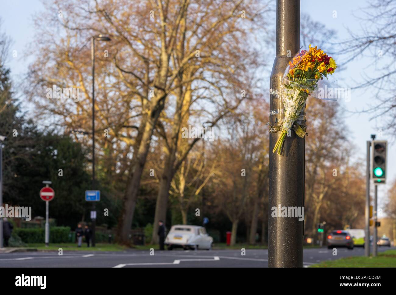 Fiori su un montante lungo una strada nei pressi di un semaforo per onorare le vittime di un incidente stradale, Southampton, Regno Unito Foto Stock