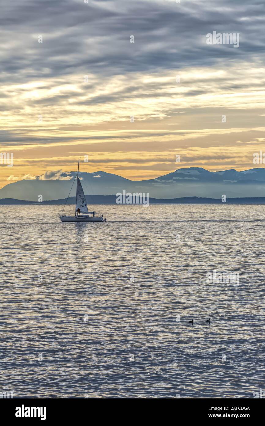 Foto ha preso a Riva Pine Point al begnning di inverno Foto Stock