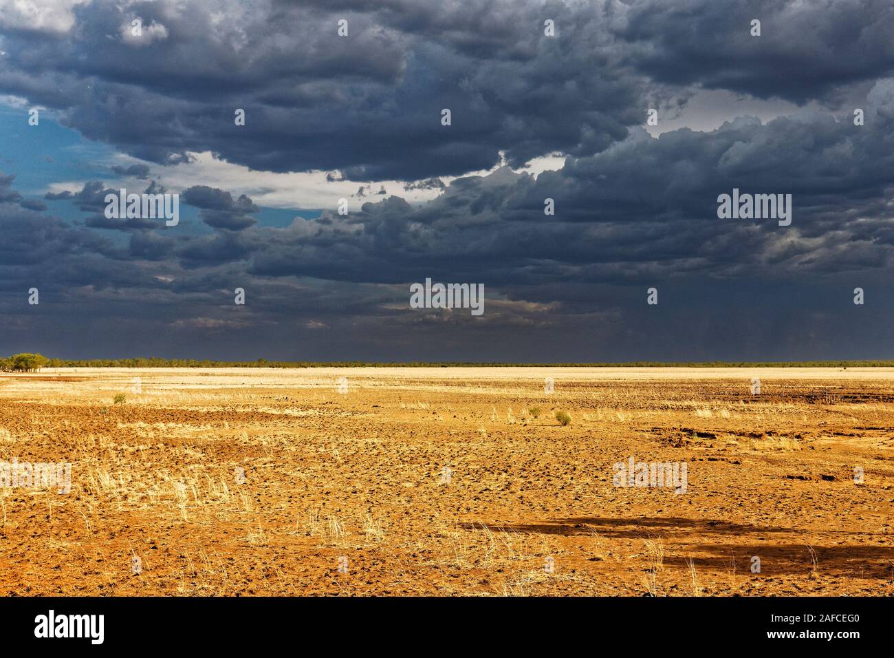 Savana paesaggio con cielo tempestoso, West Kimberley, Australia occidentale Foto Stock