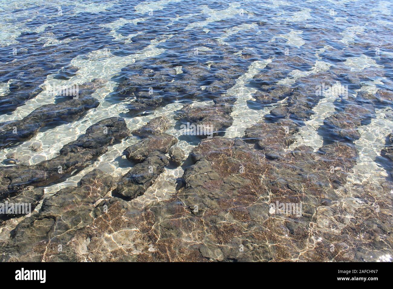 Stromatoliti Foto Stock