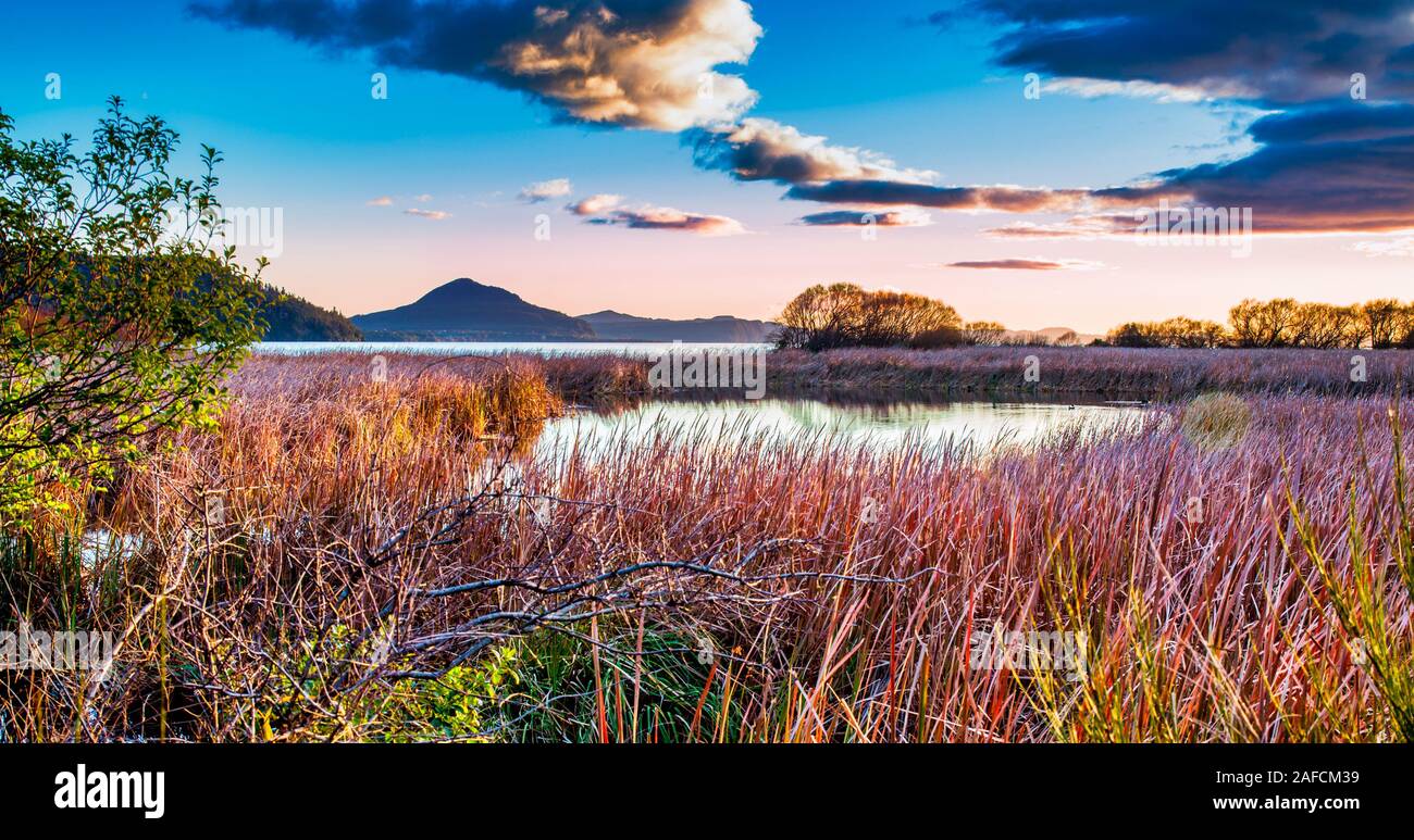 Incredibile vibrante sunrise cielo sopra i bei colori del Taopo lato lago erbe e canne in ingresso al Villaggio Waihi Turangi Foto Stock