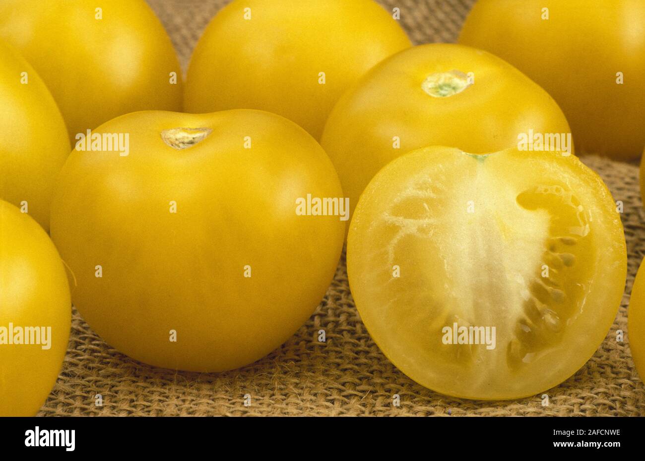 Raccolto di pomodori giallo (Solanum lycopersicum, precedentemente Lycopersicon lycopersicum). Intero e dimezzato sulla frutta hesian. Foto Stock