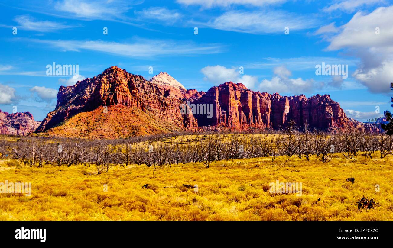 La pietra arenaria rossa montagne vista dal terrazzo Kolob strada come si snoda il 8.000 ft altitudine dell'altopiano di Kolob nel Parco Nazionale di Zion Foto Stock