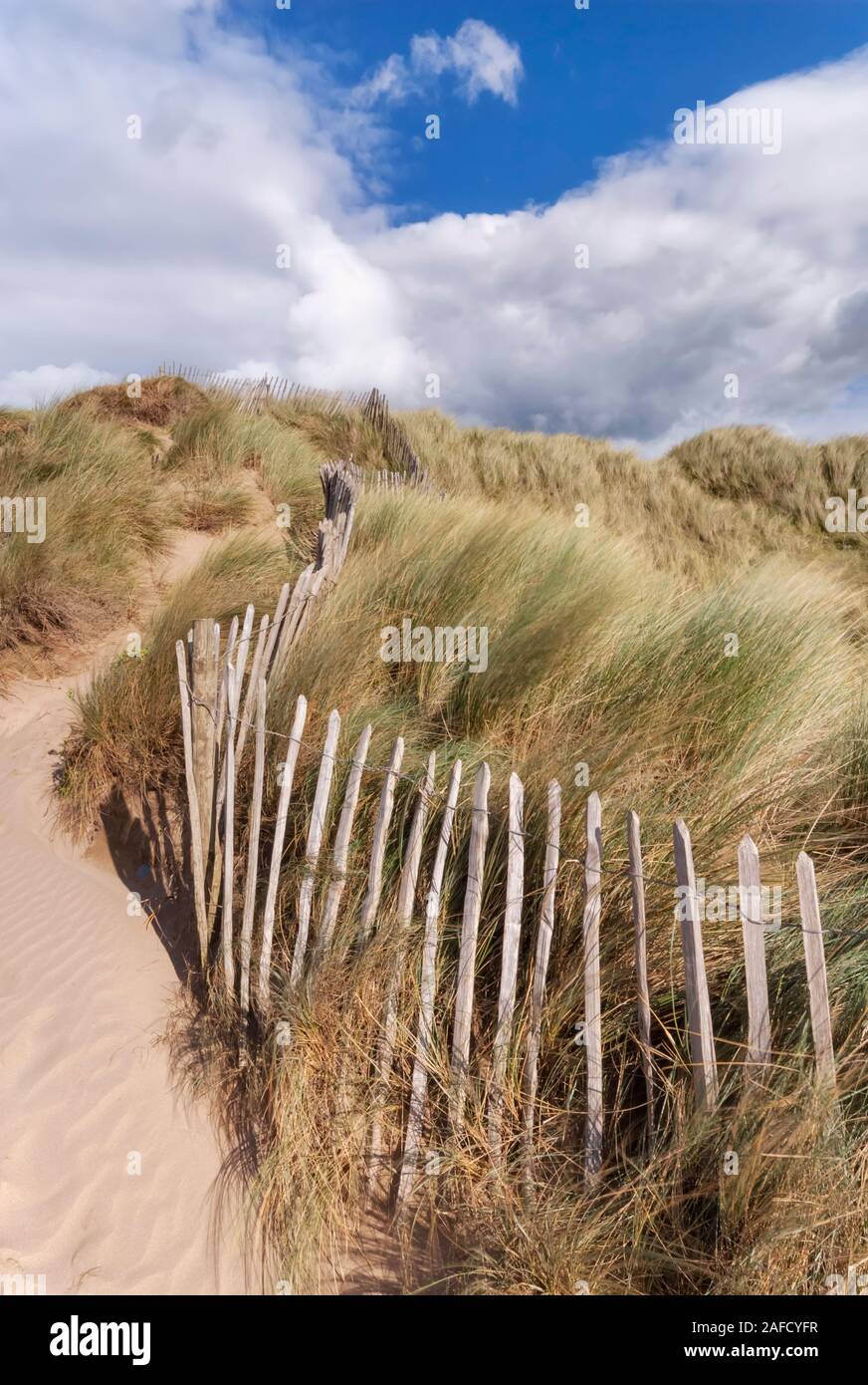 Northam Burrows Country Park, dune di sabbia e erbe di marram con recinzioni, North Devon, South West, UK Foto Stock
