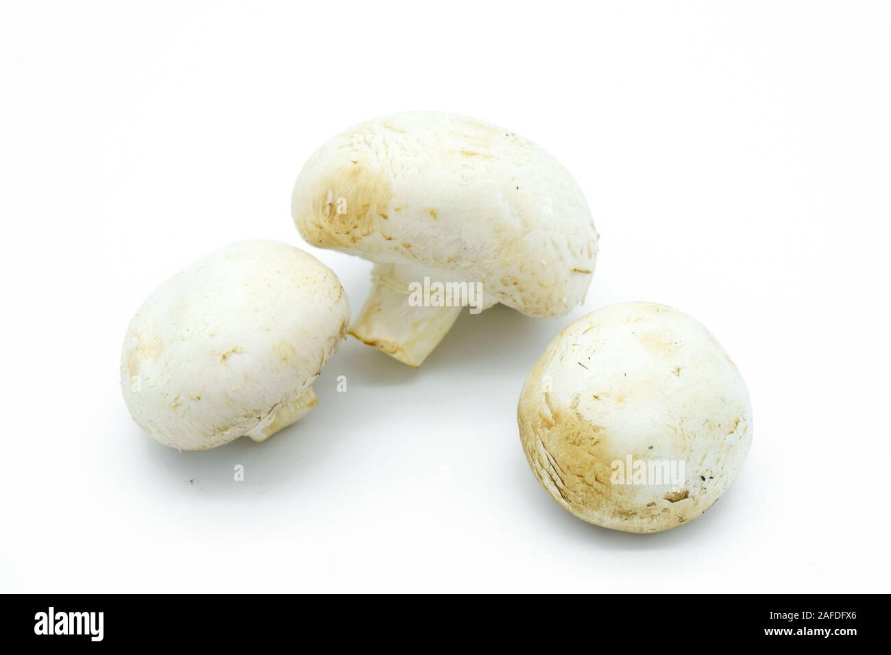 Funghi freschi non cotti Champignon isolati su sfondo bianco Foto Stock