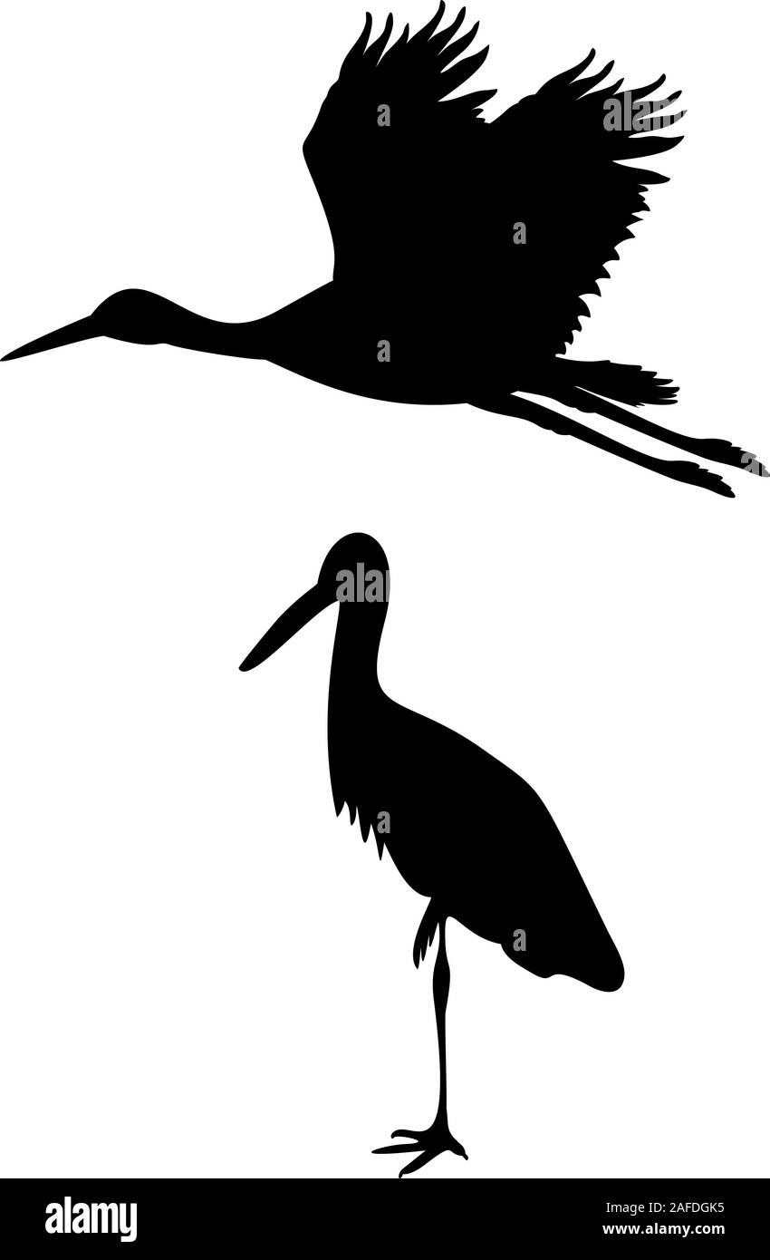 Silhouette di due cicogne. Uccelli animale. Vector illustrator Illustrazione Vettoriale