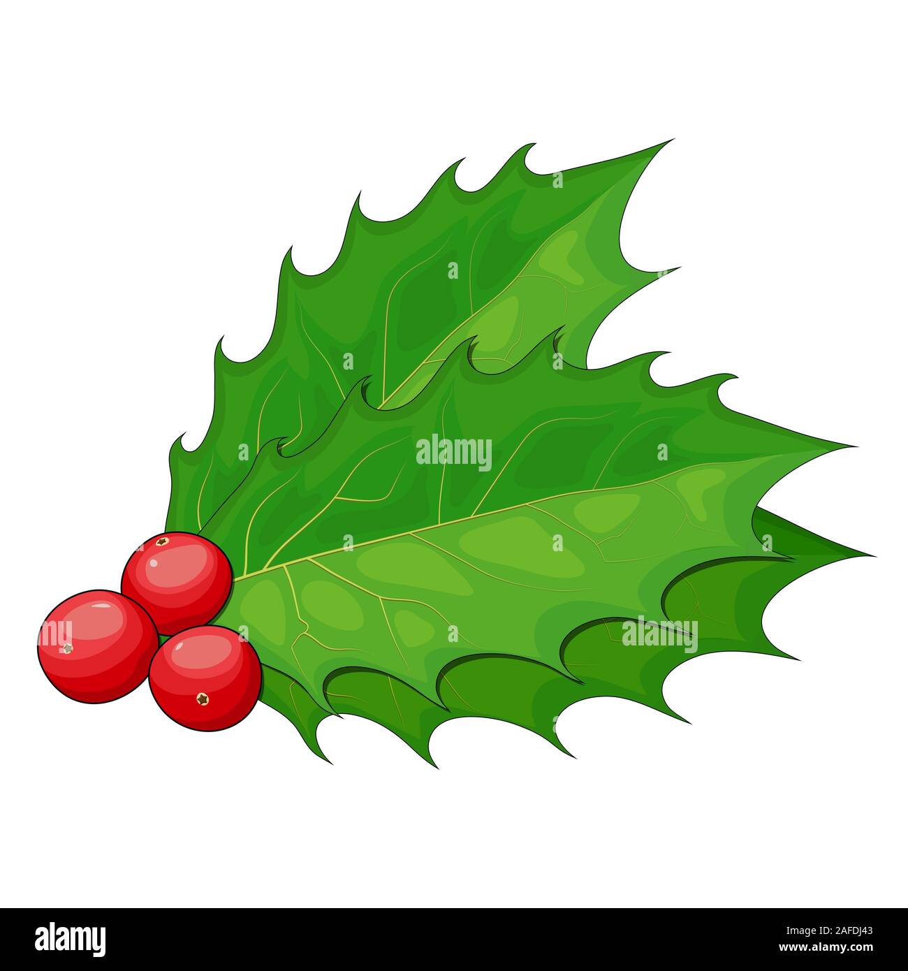 Natale Holly Berry rami illustrazione isolati su sfondo bianco. Impianto per il nuovo anno e buon natale decorazione o ramo di vischio o twi Illustrazione Vettoriale