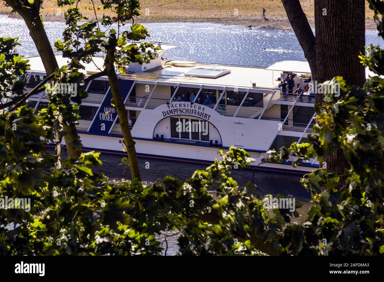 Elba prati con la linea Elberadwanderweg l'Elba a Dresda, qui una nave passeggeri della Flotta bianco Foto Stock