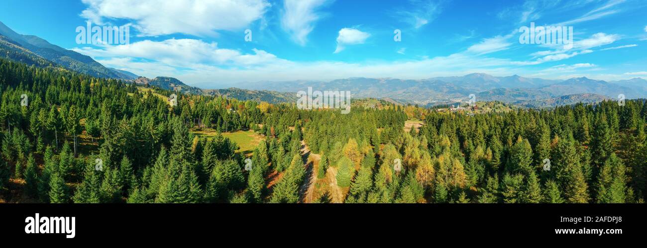 Antenna vista panoramica di una regione rurale con pino foreste e montagne dei Carpazi in background in una giornata di sole. Maramures, Romania. Foto Stock
