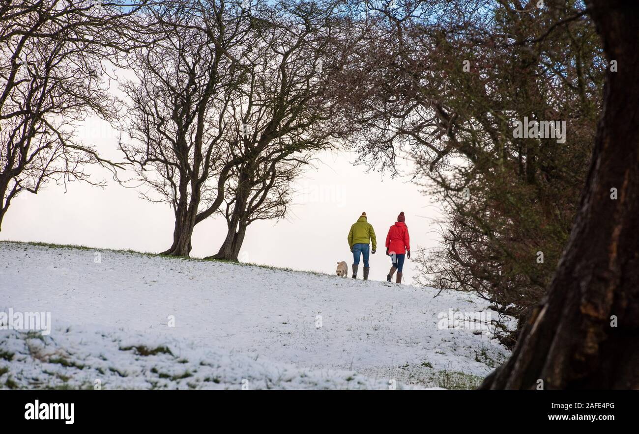 Whitewell, Clitheroe, Lancashire, Regno Unito. 15 dic 2019. Dog walkers godendo la neve a Chipping, Preston, Lancashire. Credito: John Eveson/Alamy Live News Foto Stock