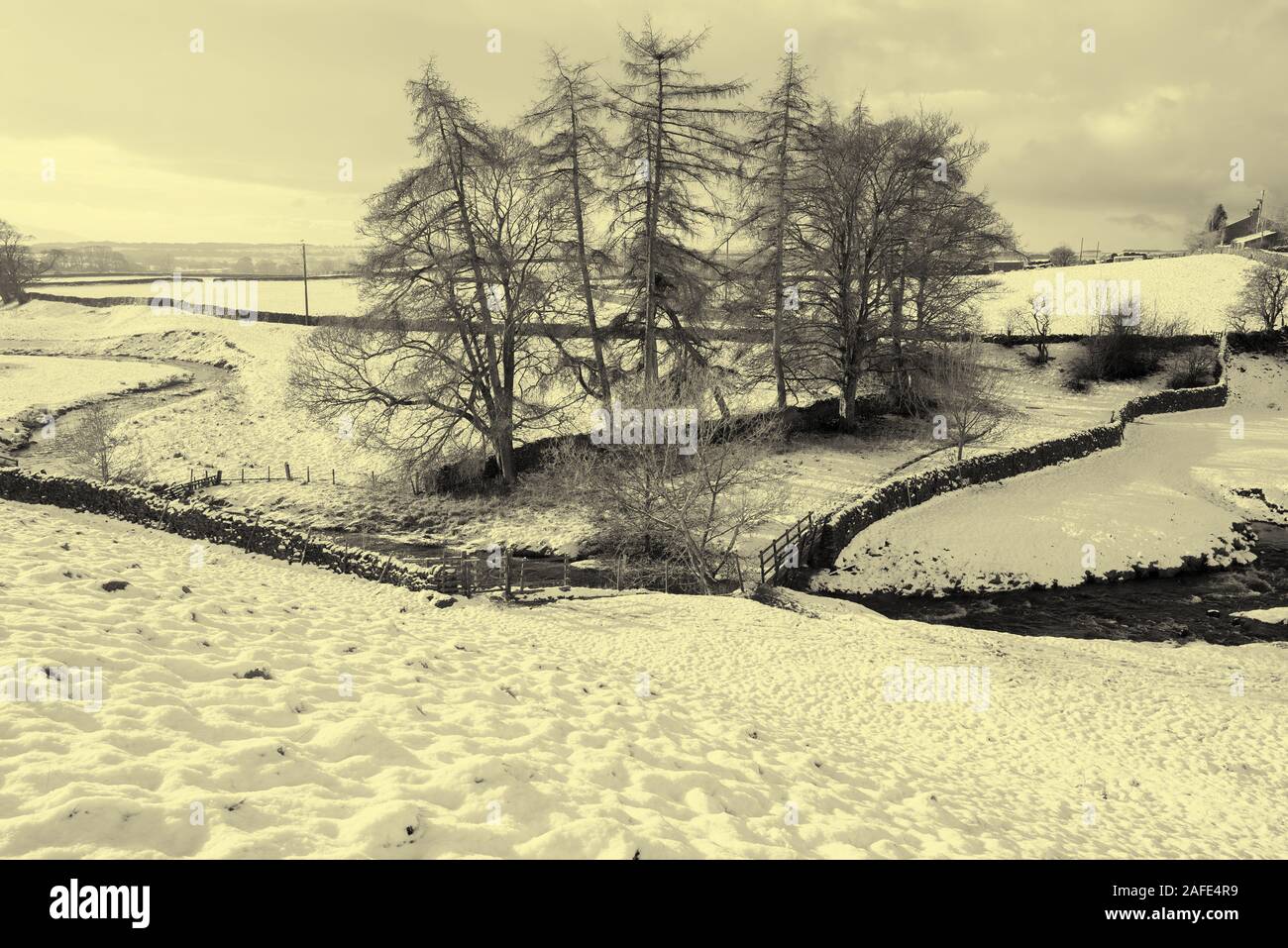 Beck bridge Long Preston Foto Stock