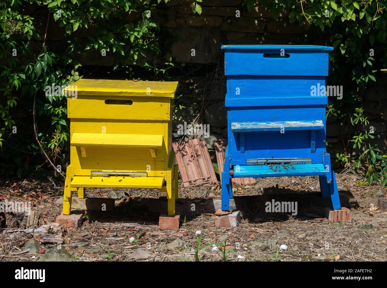 L'apicoltura. Alveari colorati Foto Stock