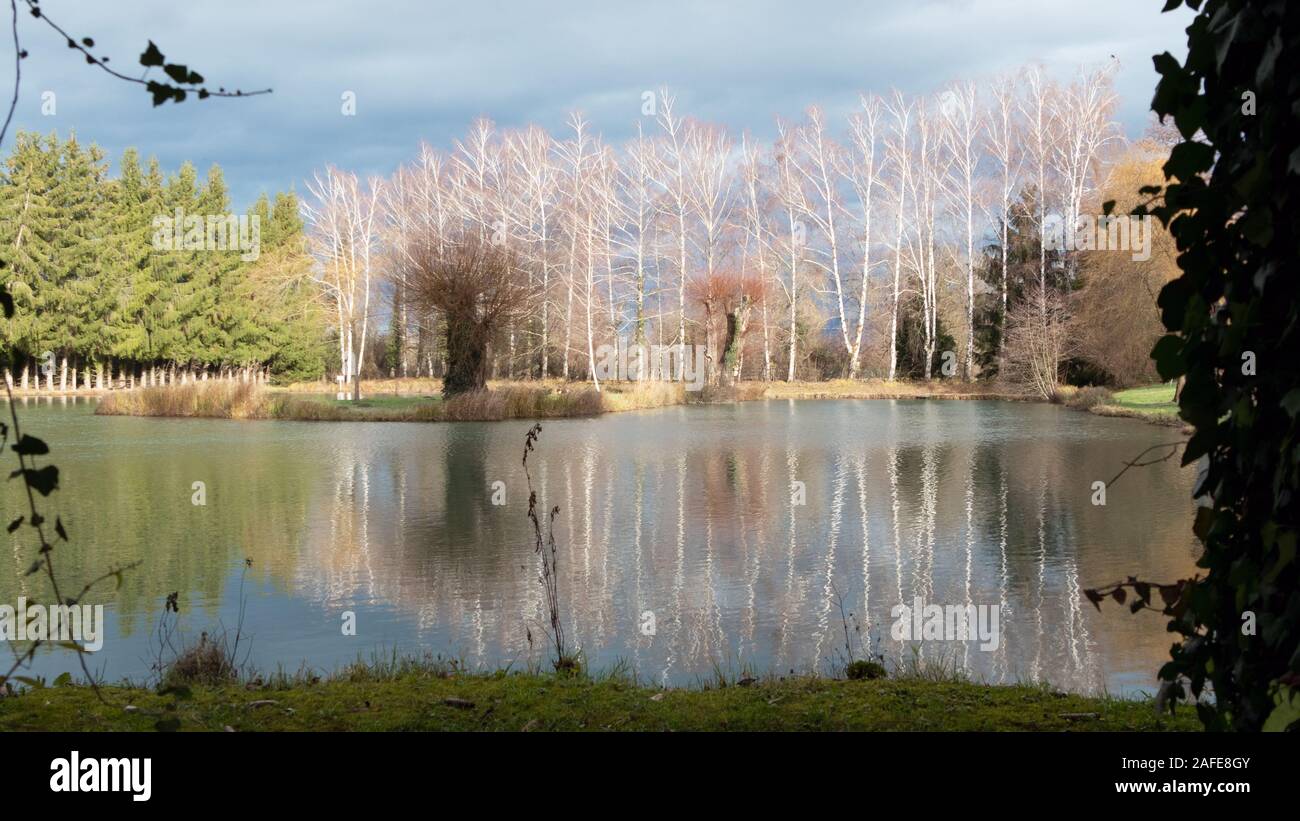 Colorato di scena a stagno nel tardo autunno Foto Stock