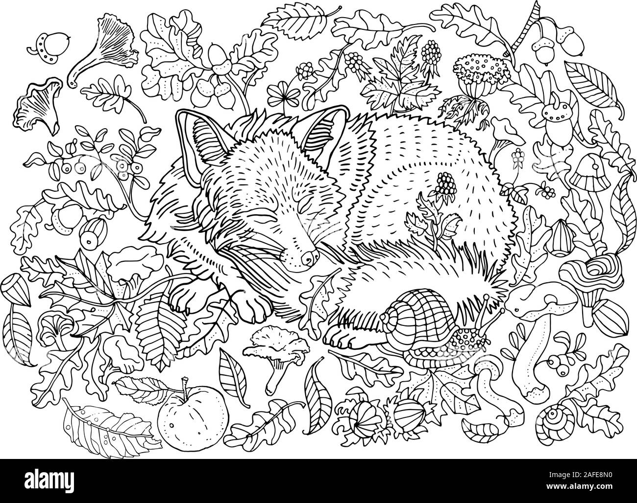 Carino sleeping fox tra foglie, dadi, di funghi, di fiori e di frutti di bosco. Ambiente, natura, foresta, piante. Disegnata a mano illustrazione. Libro da colorare pagina Illustrazione Vettoriale